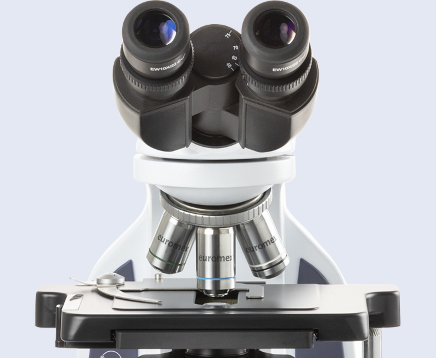 Image MICROSCOPE